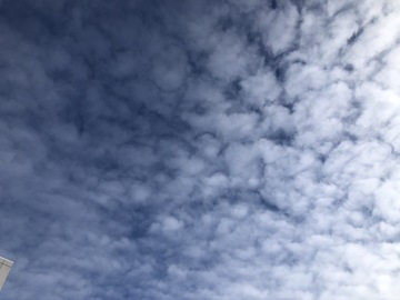IMG_2120.jpeg