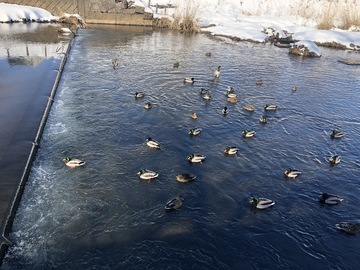 IMG_2256.jpeg