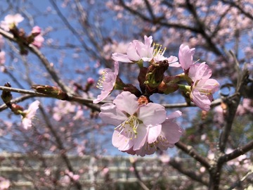 IMG_2758.jpeg