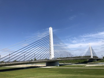 IMG_2978.jpeg