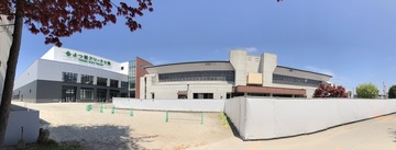 IMG_2996.jpeg