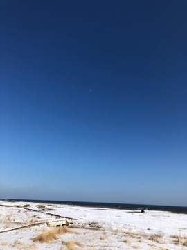 IMG_4187.jpg